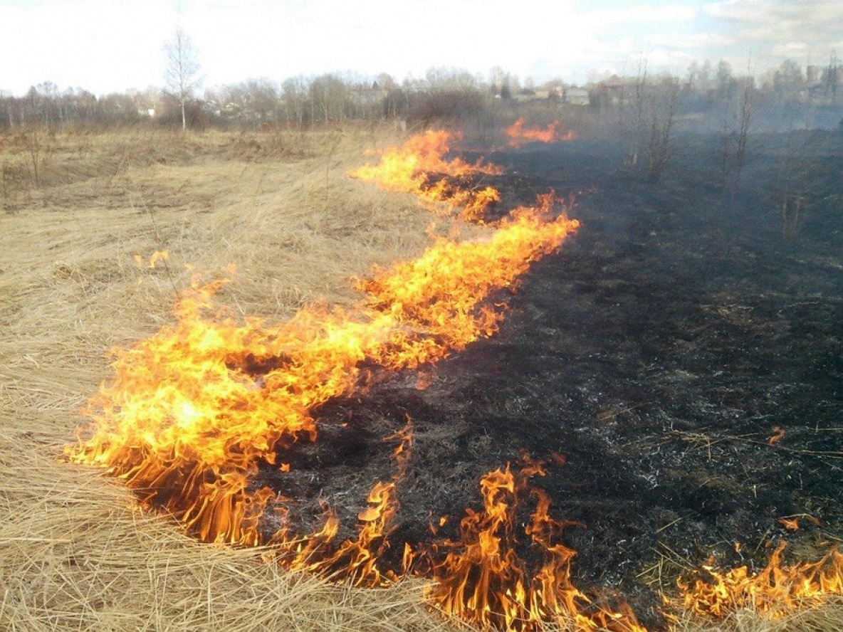 Число пожаров растет